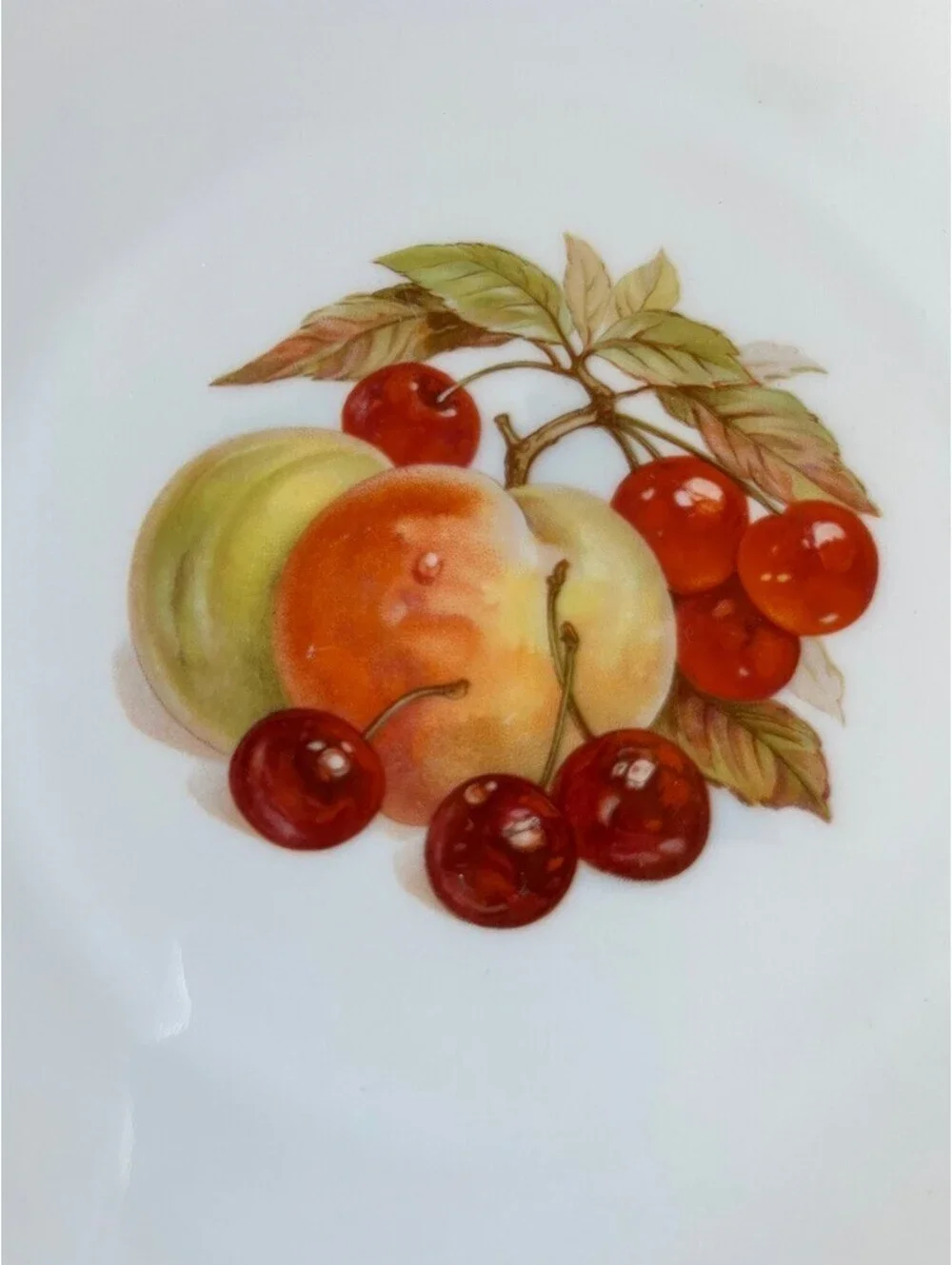 Vintage Edelstein Bavaria Fruit Motif Porcelain Plate